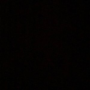 Meet your Posher, Zane